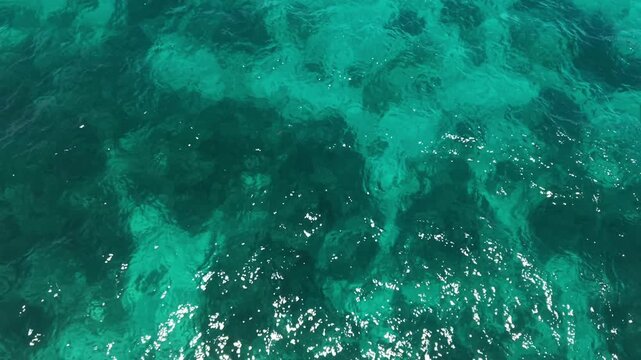 Top-Down Aerial of Turquoise Coral Reef with Buoy Line, Panglao Island Bohol