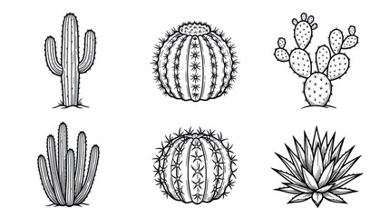 Set of Hand Drawn Cacti and Succulents Illustrations - Line Art © din