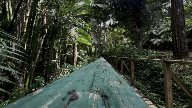 charco confesora, puerto rico forest, weathered railing, green railing, wooden boardwalk, forest boardwalk, tropical walkway, jungle trail, wooden rail, rustic wood, peeling paint, turquoise railing, 