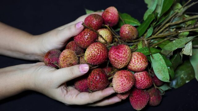 ripe lychee bunch in hands showcasing tropical fruit harvest and organic produce