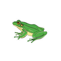 Obraz premium A green frog illustration with detailed skin texture and bright eyes.