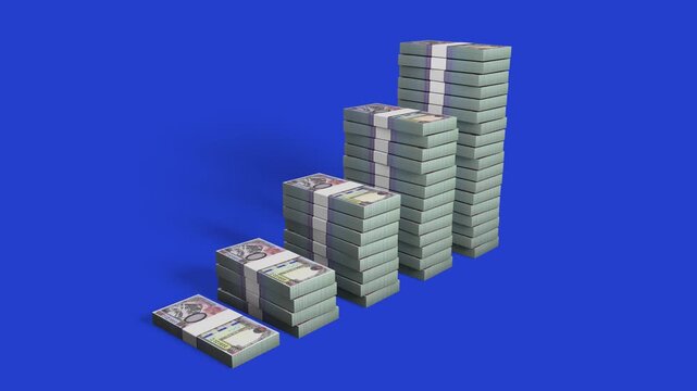 An ascending bar graph animation created from stacked bundles of Nepalese 1,000 Rupee cash notes over a blue screen. Includes a black and white alpha matte track for seamless compositing.