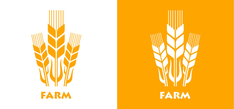 Cereal wheat or barley grain ear icon for farm oat and rice spikelet symbol. Wheat icon for bakery emblem or bread store and flour package label or organic cereal muesli and rye millet oatmeal food