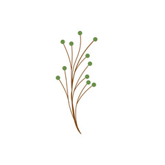 Fototapeta premium Minimalist leaf vector. Minimalist branched leaf. Illustration and colored green. Hand-drawn leaf illustration. Illustration of round leaves 