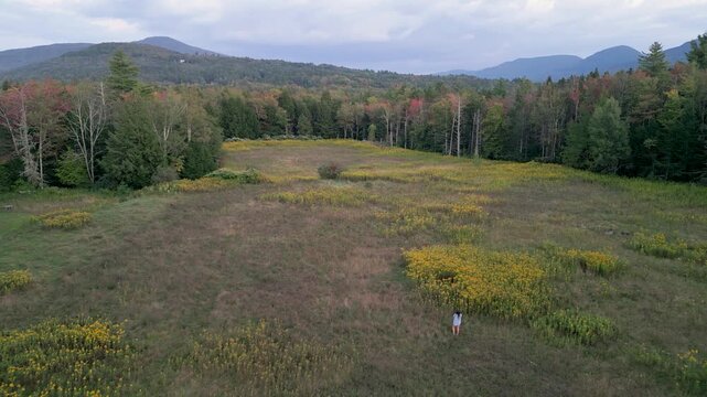 Person Walking Through Meadow in Catskills Mountains &ndash; Aerial 4K