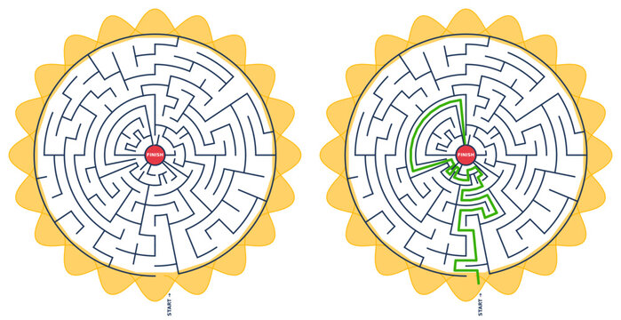Flower learning maze vector template with solution, circular algorithmic puzzle game for kids promoting problem solving and logical thinking