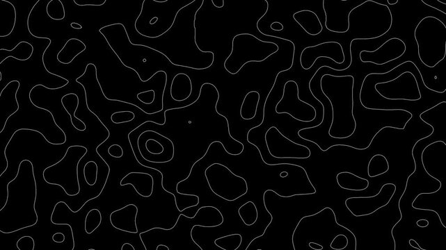 Topographic Map Background, Moving waves on black background. 4K looped animation.
Seamless loop terrain map elevation pattern. Abstract Fractal lines background animation. 