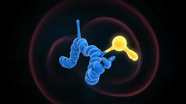 3D Visualization of Bradykinin Molecule and Receptor Interaction