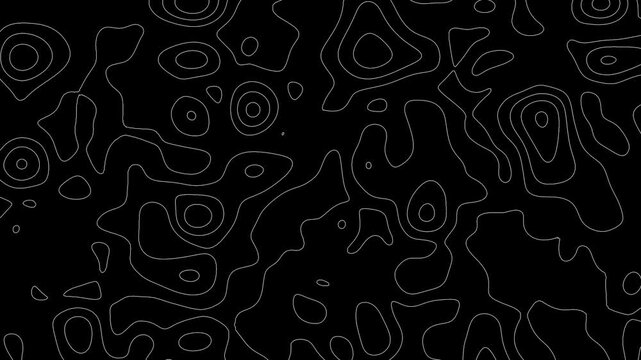 Topographic Map Background, Moving waves on black background. 4K looped animation.
Seamless loop terrain map elevation pattern. Abstract Fractal lines background animation. 