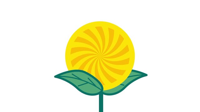 A clean white background with a single large cartoon sunflower featuring yellow petals and a detailed round orange center