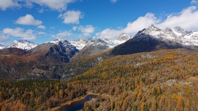 Small alpine Lake Mufle surrounded by yellow larch trees and snow capped mountains in Valmalenco, Italy. Aerial forward