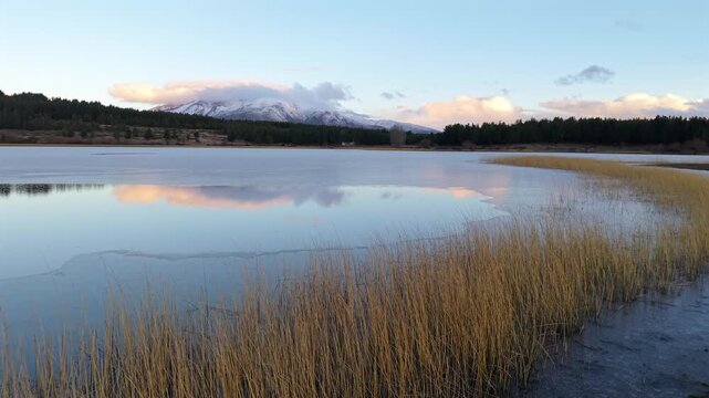 Frozen reeds on the shores of Laguna La Zeta, approaching dense forest and snow-covered peaks. Low-altitude forward aerial landscape glide.