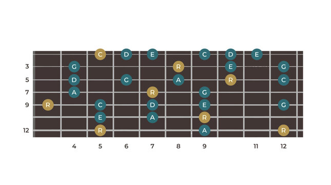 Guitar chord chart for musicians.