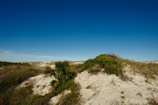 Sand Dunes on the path to St. Augustine Beach in Florida on a winter afternoon