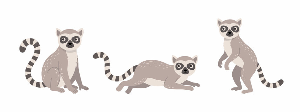 A group of lemur in different poses scandinavian style