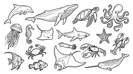 Sea life vector collection, hand drawn marine animal illustrations, black and white ocean creatures set for coloring book and educational design © Sidra