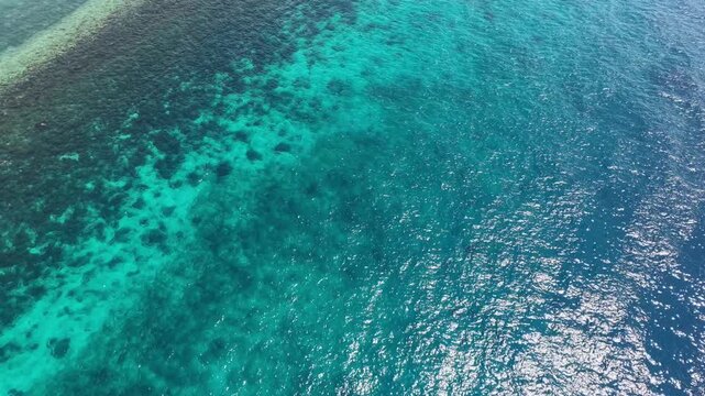 Aerial Tilt-Down from Mangrove Coast to Reef Channel, Lazi Siquijor