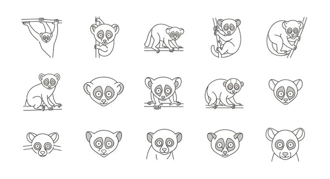 Collection of slow loris illustrations in line art style