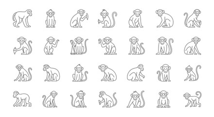 Set of monkey line art illustrations in various poses for design © Kali