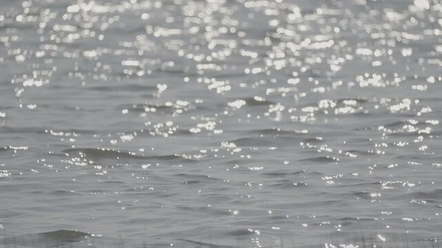 Gentle Water Waves on a Calm Surface ( log profile 10 bit 4:2:2)