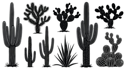 Black and white cactus illustrations set © MohammadMasud
