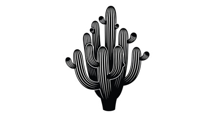 Black and white cactus plant © MohammadMasud