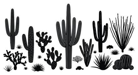 Black cactus and succulent plant silhouettes © MohammadMasud