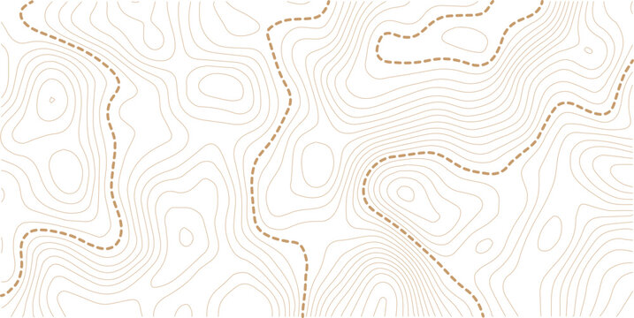 Seamless vector topographic map background. Line topography map seamless pattern. Vector illustration