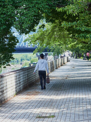 Fototapeta premium 初夏の朝の犬山市の木曽川遊歩道で歩く若い通勤中の女性の姿