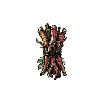 Madder root bundle isolated white