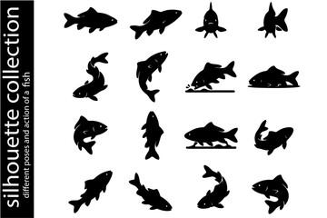 Fototapeta premium Fish Silhouette Collection: A collection of diverse black fish silhouettes showcasing various poses and actions, ideal for graphic design and aquatic themes.