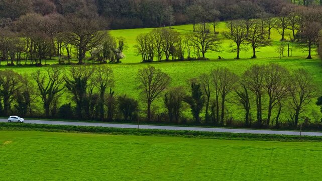 A white car travels on a road bordered by vibrant green fields and leafless trees. Captures the peaceful rural landscape. Useful for travel videos or rural lifestyle content.