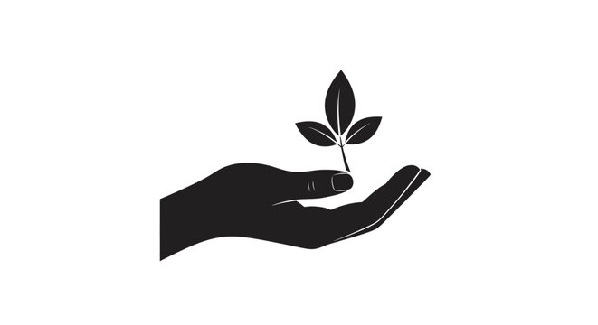 A hand gently holds a small leafy plant sprout upwards in air