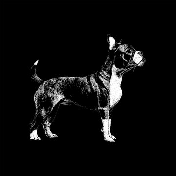Hand-drawn vector illustration of a Frenchton dog standing in profile, featuring highly detailed stippling, dotwork texture, and characteristic bat ears, isolated on a black background.