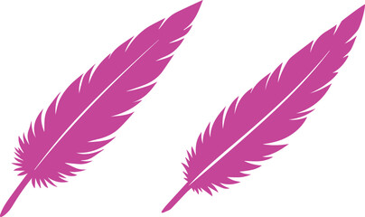 Two bright pink feather illustration design Vector © MSTJESMIN