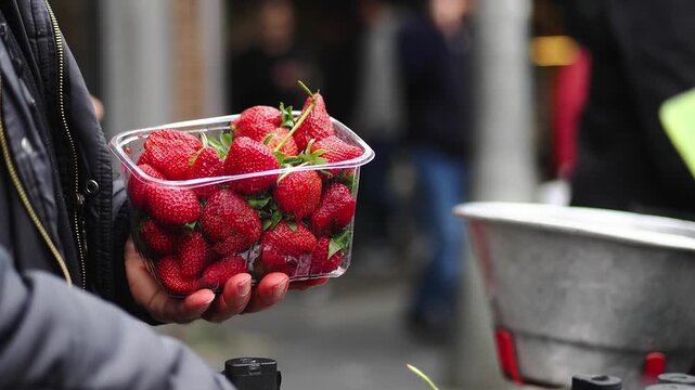 Buying strawberries at a market in the morning
