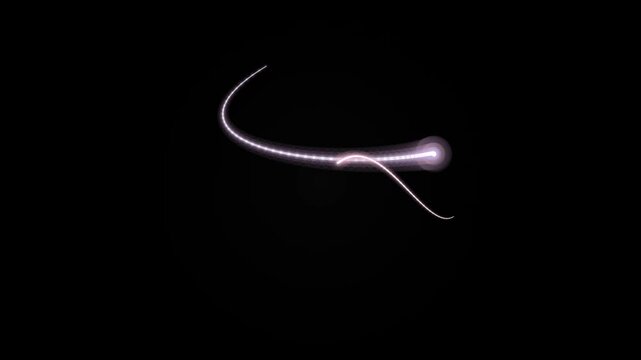 Abstract light trails in dark space create dynamic curves and glowing effects with neon luminosity for modern design elements