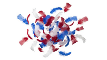 Obraz premium Floating composition of fluffy red white and blue decorative craft feathers isolated on transparent background