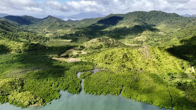 High-altitude panning drone shot over the vibrant mangrove forest and branching river systems near Mt. Capoas in Palawan, Philippines