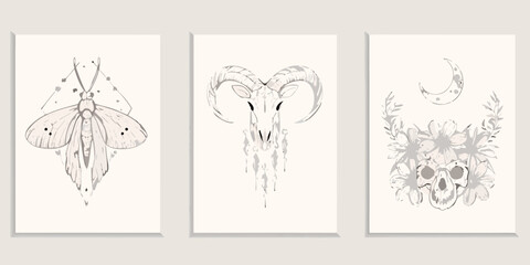 Boho style triptych featuring moth ram skull and floral skull illustrations © Prince