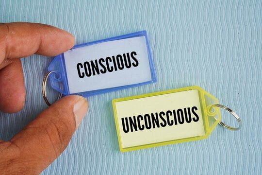 Tag with the words conscious or identity-driven habits and unconscious or hidden, automatic habits.