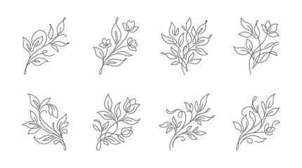 Fototapeta premium Elegant Floral Line Art Elements: Botanical Branches, Leaves and Flowers