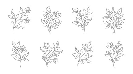 Fototapeta premium Elegant Floral Line Art Illustrations - Delicate Botanical Branch Designs