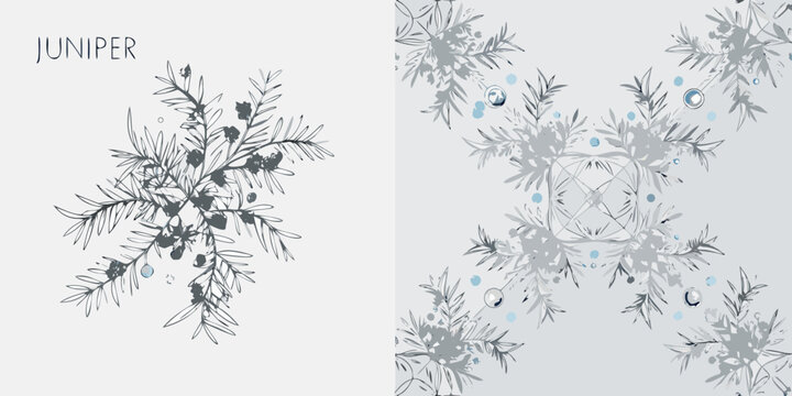 Juniper botanical illustration with berries a delicate grey toned pattern
