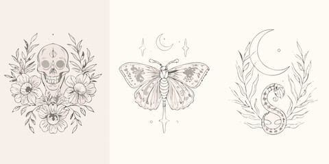 Floral Skull Butterfly And Snake Illustrations Line Art Style © Sukla
