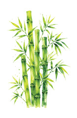 Fototapeta premium Vibrant watercolor painting of green bamboo stalks and leaves.