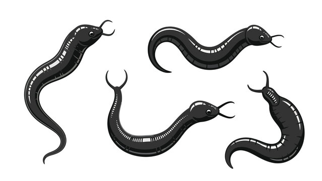 Collection of stylized black leeches with suckers, isolated on white background.