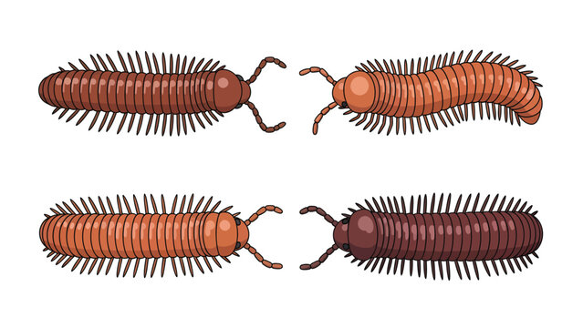 Four cartoon millipedes with segmented bodies and antennae, two facing left and two facing right, isolated on a white background.