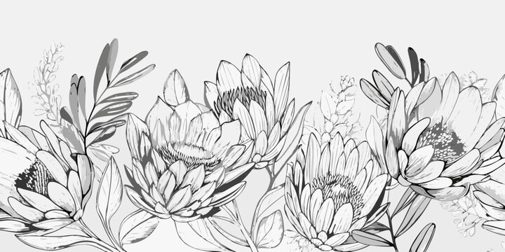 Protea floral arrangement grayscale vector illustration on a light background