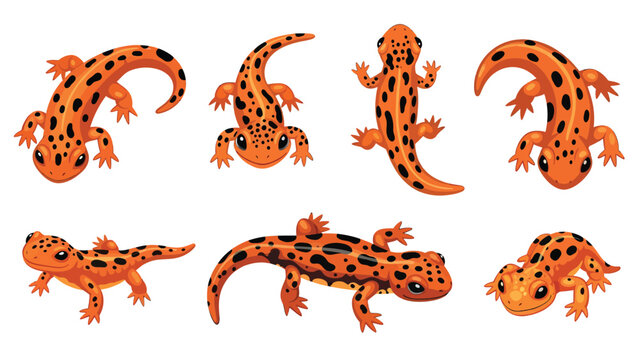 Collection of cute cartoon newts with orange skin and black spots, shown in various poses.
